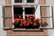BobR_2010_0922_9835