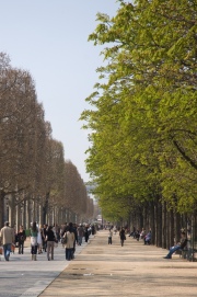BobR_2007_0402_1779