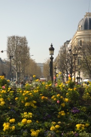 BobR_2007_0402_1794