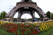 Eiffel Tower