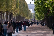 Champs-Elysées