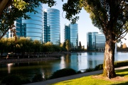 BobR_2010_0718_8691
